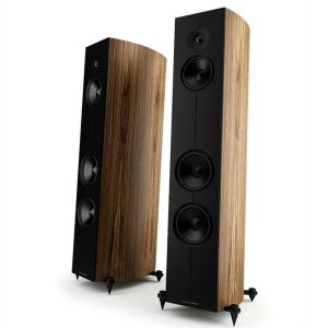 Acoustic Energy CORINIUM