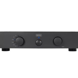 Hegel P20