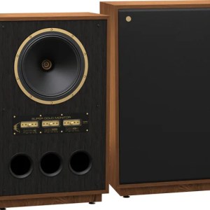 Tannoy SGM 15