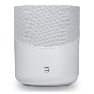 Bluesound Pulse M