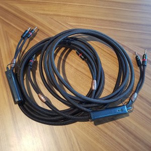 Audioquest GO-4 câbles HP