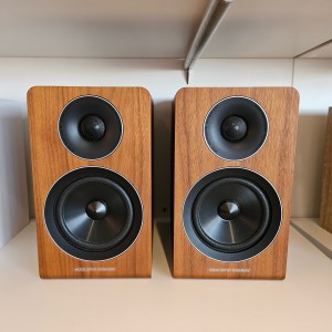 Acoustic Energy AE300