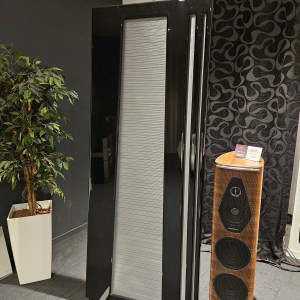 Enceintes Apogee Acoustics DIVA RIBBON speaker system