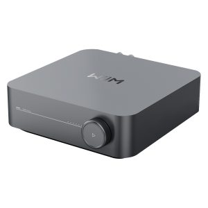 Wiim Amp